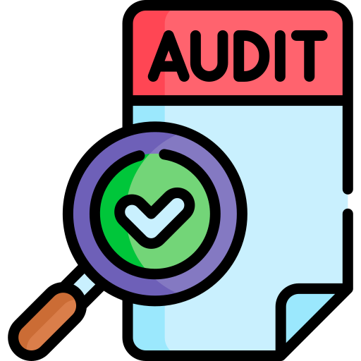 audit